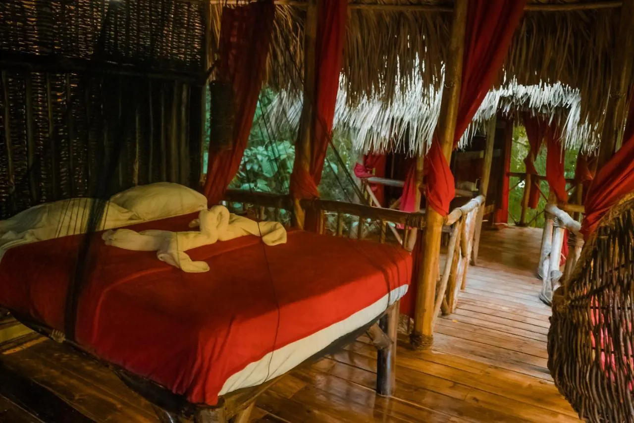 Dominican Tree House Village El Valle ドミニカ共和国